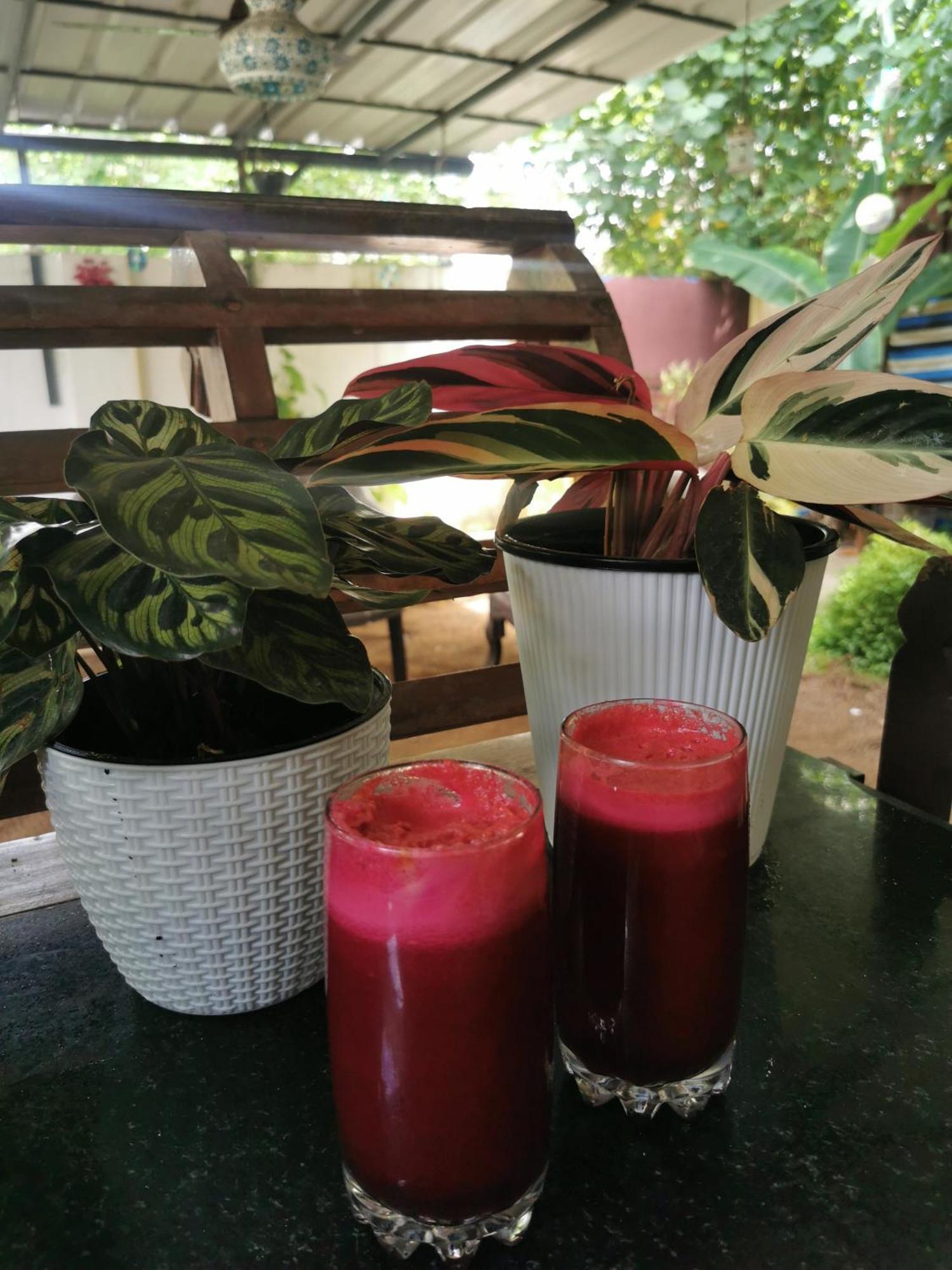 Jeehaa Homestay Alappuzha 外观 照片