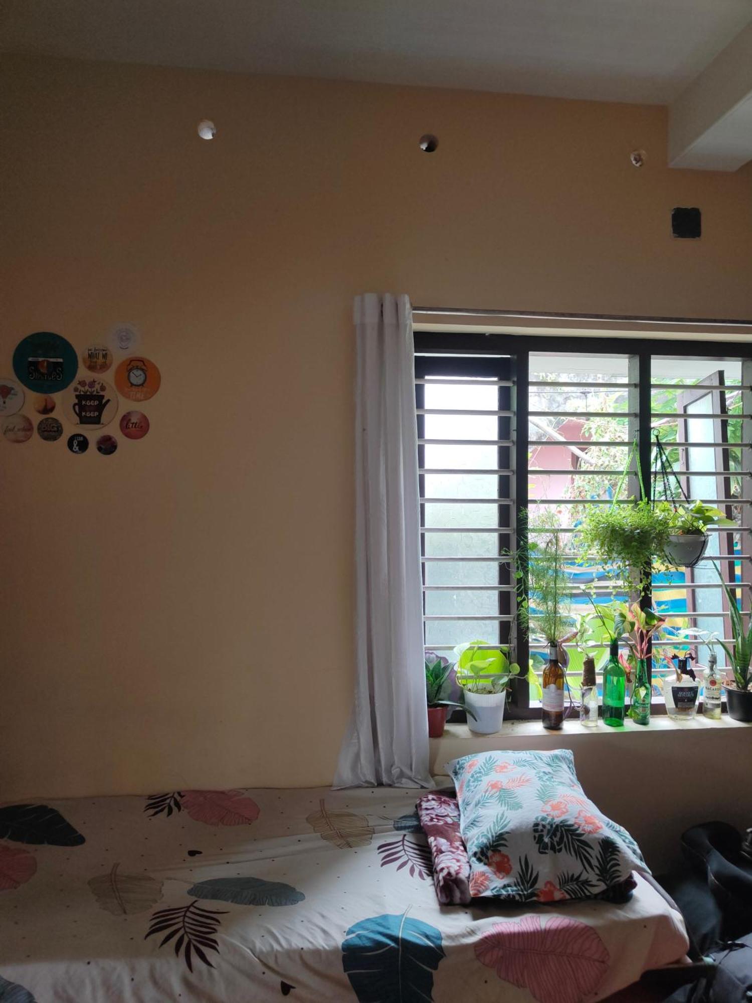 Jeehaa Homestay Alappuzha 外观 照片